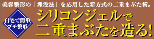 �V���R���E�A�C�����ʔ�